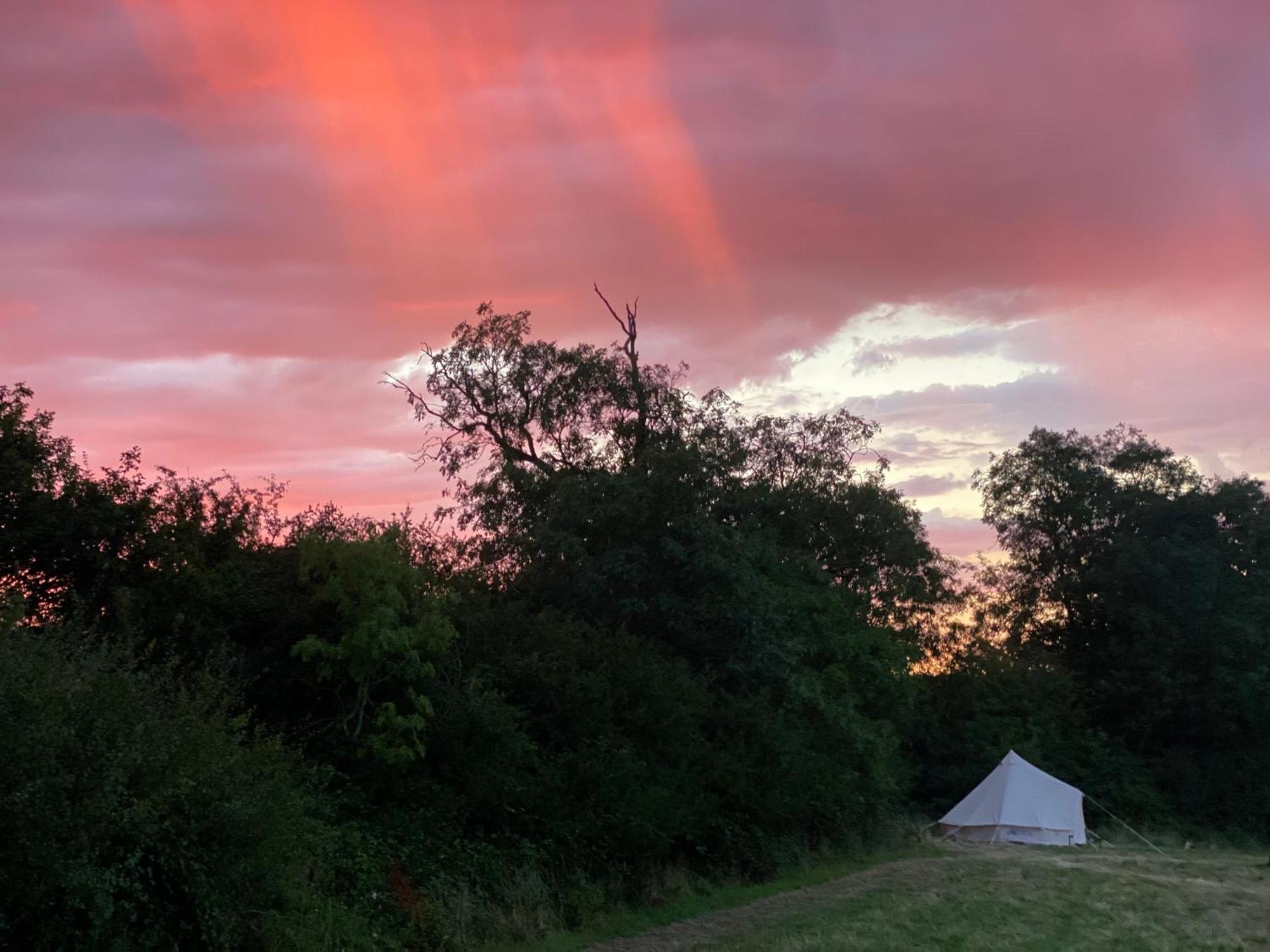 Bell Tent 4M Fossewold Farm Camping Moreton-in-Marsh Екстер'єр фото